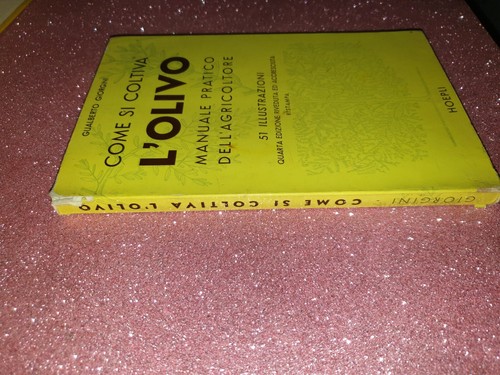 Come coltiva olivo - l',