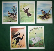 LOTTO 5 CARTOLINE VINTAGE