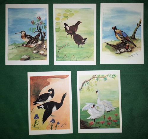 Lotto cartoline vintage - 5,