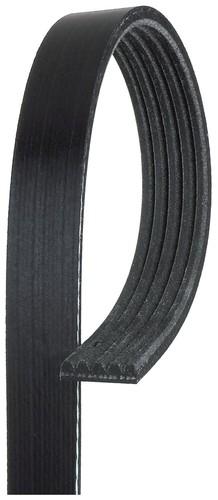 Cinghia servizi mini one - servizi,