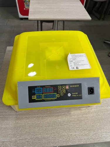 Incubatrice gialla mai - gialla,