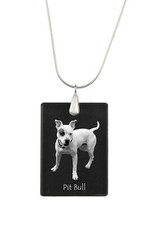 Pit Bull, American Pit Bull