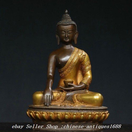Statua buddha shakyamuni - statua,