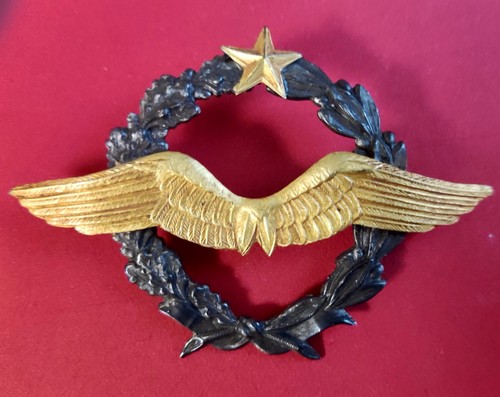 Premio pilota francese ottime - pilota,