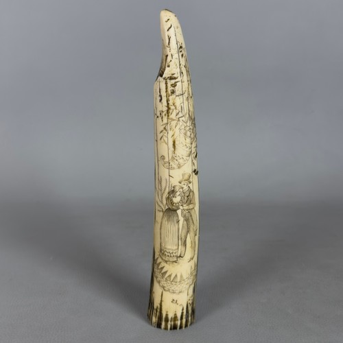 Scultura dente finto inciso - scultura,