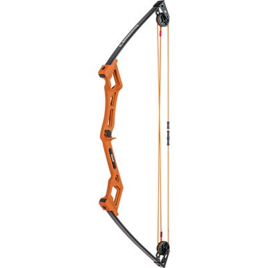 Set fiocco apprendista orso - fiocco,