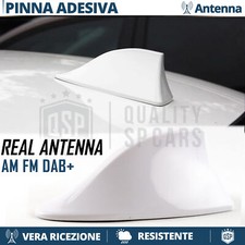 Antenna PINNA DI SQUALO Bianca