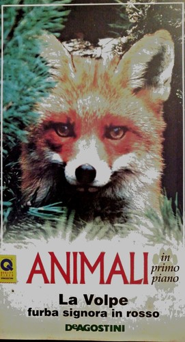 Animali piero angela volpe - la,