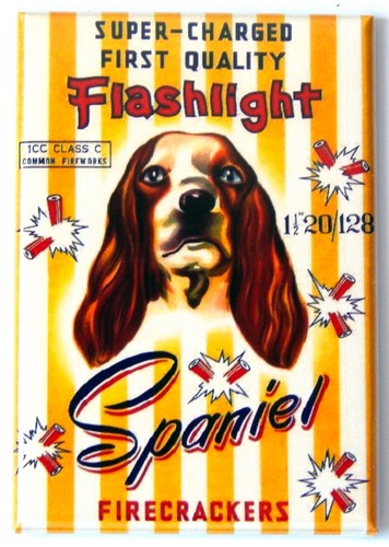 Springer spaniel fuochi - springer,