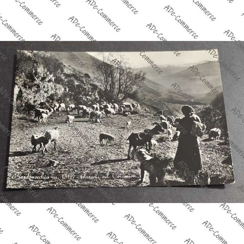 Postcard bardonecchia - postcard,