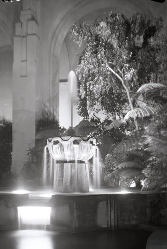 A24 negativo 1939 - negativo, golden