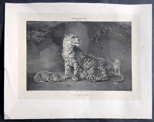 Stampa antica 1860 circa