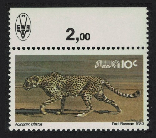 Carta gesso animale selvatico