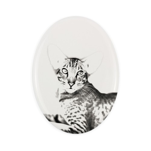 Gatto orientale lapide con - , la