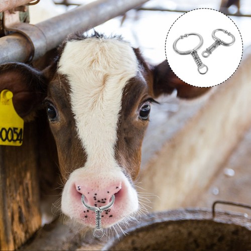 Cerchio traino mucca naso - traino,