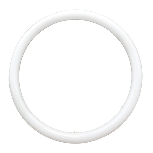 Circolare fluorescente - circolare,