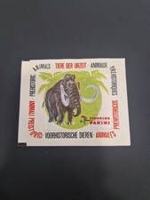 BUSTINA ANIMALI PREISTORICI