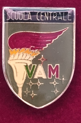Distintivo spilla pins - distintivo, scuola