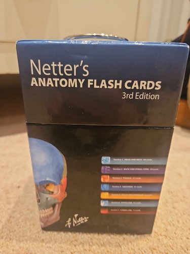 Netters anatomy flash card - anatomy,