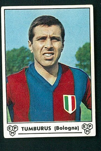 Figurina calciatori panini - figurina,