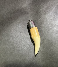 Zanna di elefante dalla