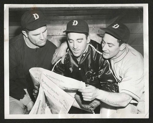Sal maglie 1949 - tre, pecore