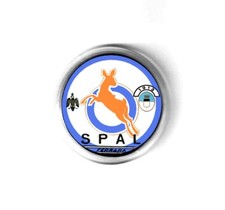 spilla calcio team scudetto