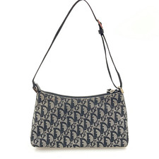 Christian Dior Trotter