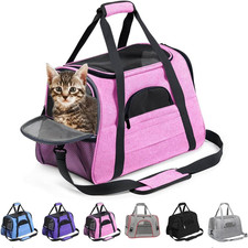 Trasportino Gatto, Trasportino