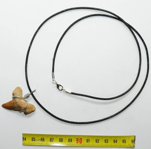 Collana sospensione dente da - collana,