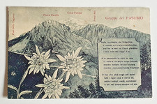 cartolina gruppo del pasubio