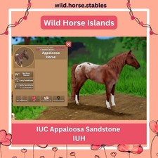 Capelli unici dell'isola - IUC