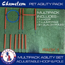 Dog Agility JUMP Addestramento