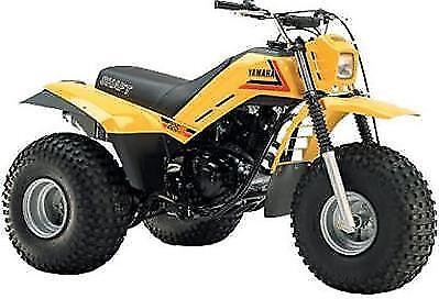 Manuale officina yamaha - yamaha, ytm
