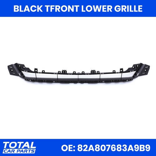 Griglia inferiore anteriore - inferiore,