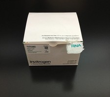 Thermo Fisher Invitrogen REF
