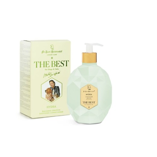 San bernard the best - bernard,