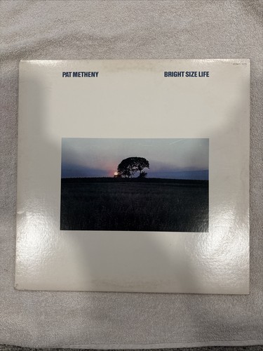 Pat metheny bright - metheny, life