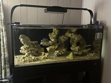 Innovative Marine EXT 100