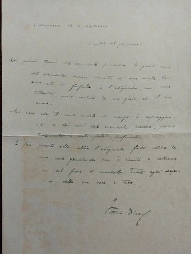 1890 scrittore vittorio - scrittore,