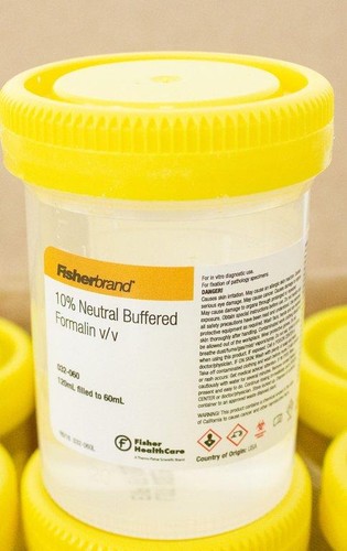 Fisherbrand contenitore - fisherbrand,