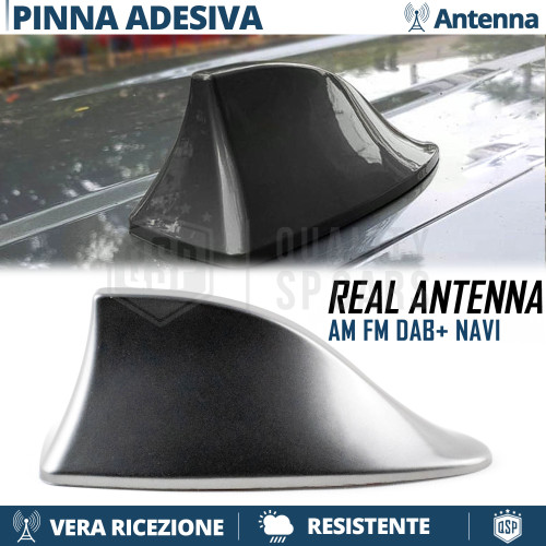 Antenna pinna squalo grigia - pinna,
