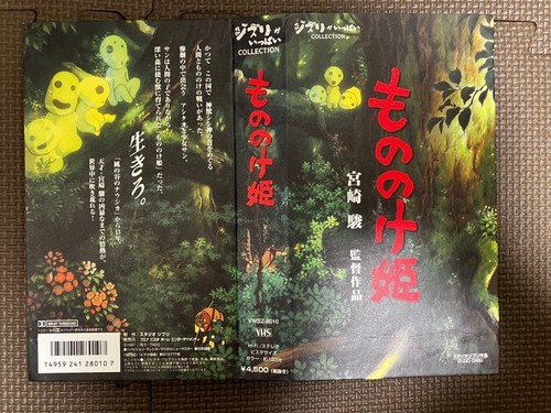 Studio ghibli princess - ghibli,