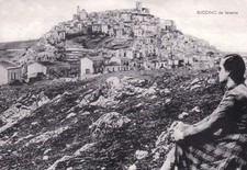 BUCCINO da levante    1960