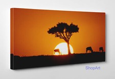 ⭐️Quadro Etnico Savana