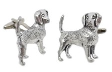 Beagle Cane Segugio Caccia