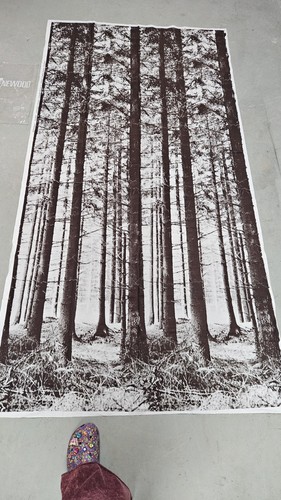 Vintage the pinewood - pinewood, tessuto