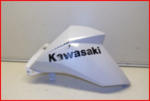 Kawasaki z800 800 2013 - kawasaki, z