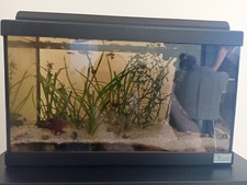 Acquario Aquatlantis