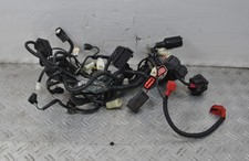 41219- Cablaggio Impianto elettrico Mash Two Fifty 250 Dal 2021